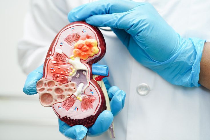 Online Doctor | Get Online Treatment for Urinary tract infection (UTI) in | Online Prescription | E-rx.online